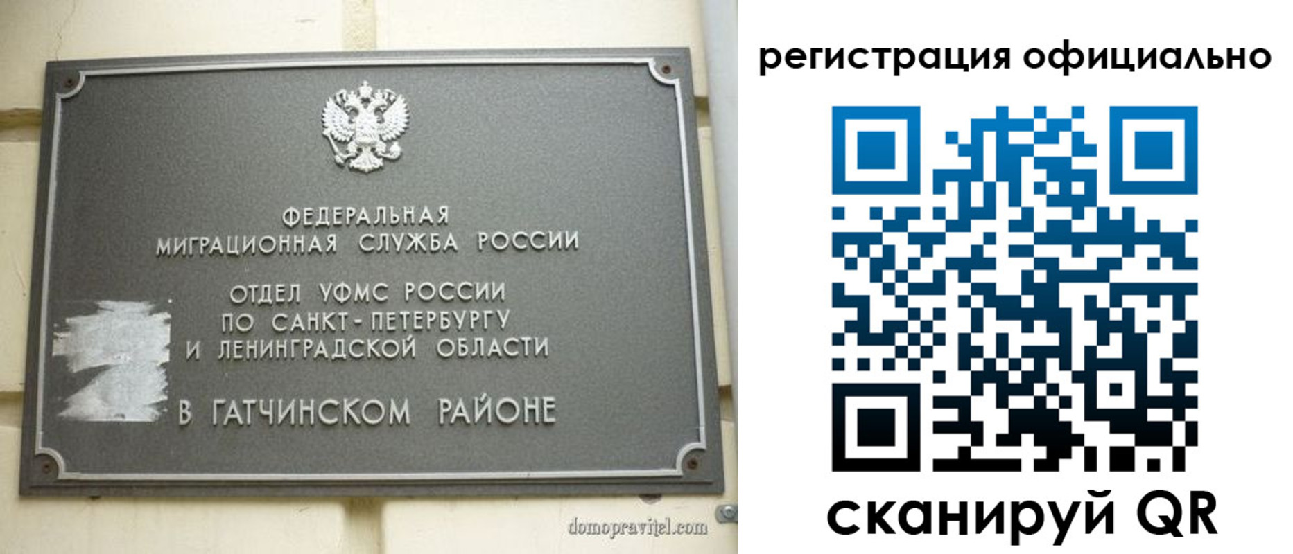 купить прописку в Светлогорске